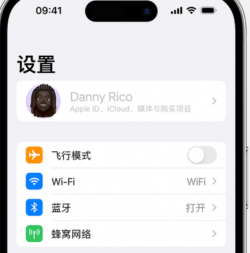 绥江appleID维修服务iPhone设置中Apple ID显示为灰色无法使用 