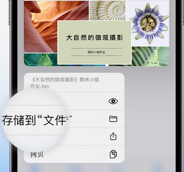 绥江apple维修中心分享iPhone文件应用中存储和找到下载文件