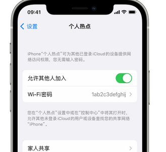 绥江apple服务站点分享iPhone上个人热点丢失了怎么办