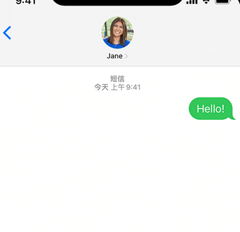 绥江apple维修iPhone上无法正常发送iMessage信息