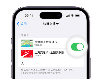 绥江apple维修点分享iPhone上更换Apple Pay快捷交通卡手绘卡面 