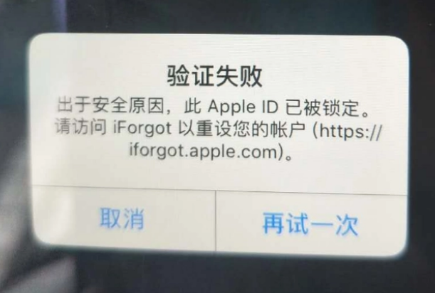 绥江iPhone维修分享iPhone上正常登录或使用AppleID怎么办 