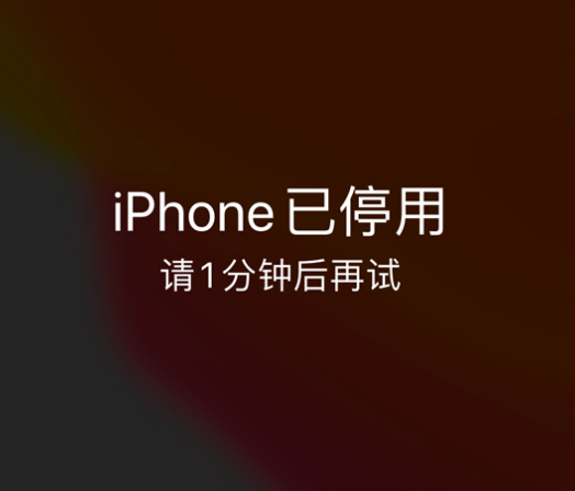 绥江苹果手机维修分享:iPhone 显示“不可用”或“已停用”怎么办？还能保留数据吗？ 