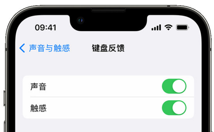 绥江苹果手机维修分享iPhone 14触感键盘使用方法 