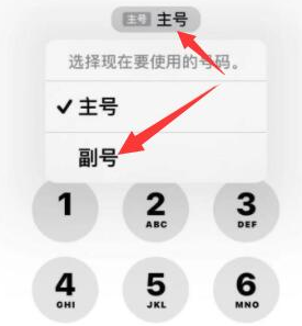 绥江苹果14维修店分享iPhone 14 Pro Max使用副卡打电话的方法 