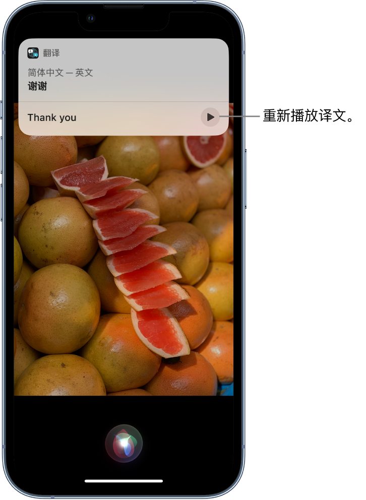 绥江苹果14维修分享 iPhone 14 机型中使用 Siri：了解 Siri 能帮你做什么 