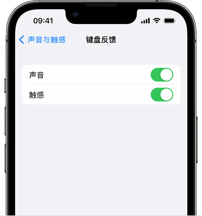 绥江苹果14维修分享iPhone 14 系列机型如何开启键盘声音或触感反馈 