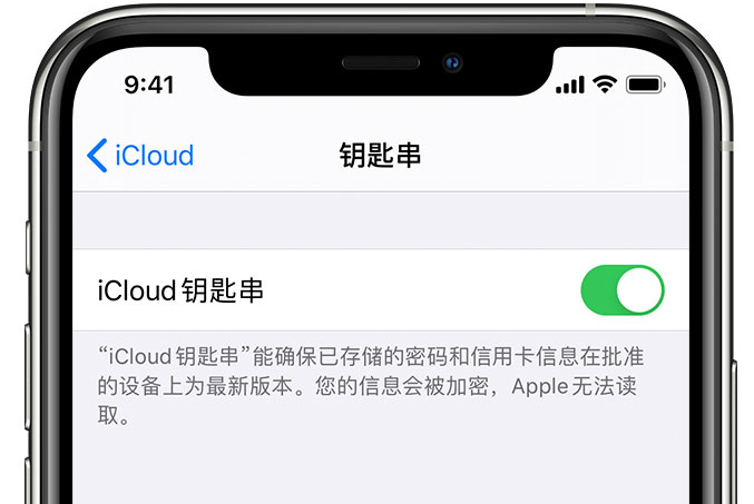 绥江苹果手机维修分享在 iPhone 上开启 iCloud 钥匙串之后会储存哪些信息 