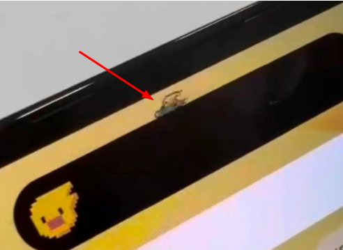 绥江苹果14维修分享iPhone 14 Pro Max灵动岛怎么养宠物 