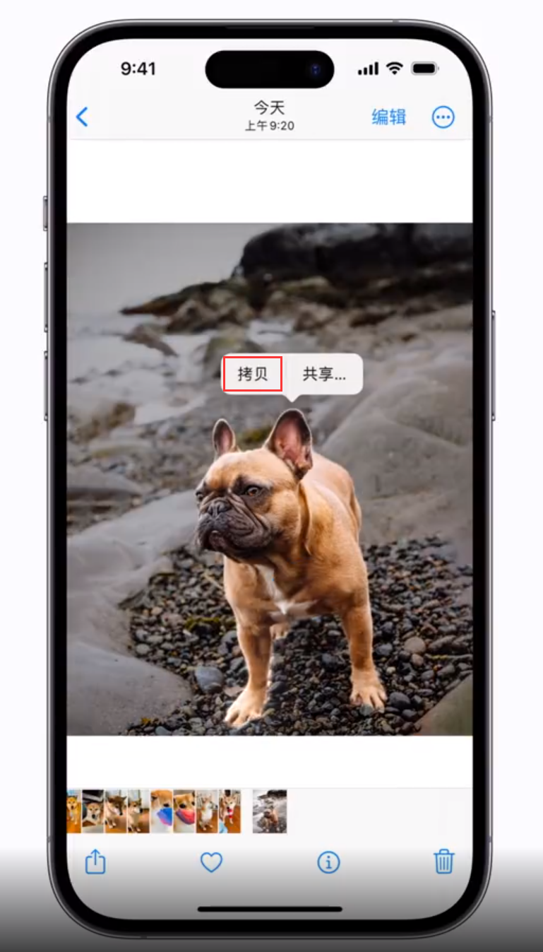 绥江苹果手机维修分享 iOS 16 自带一键抠图功能 