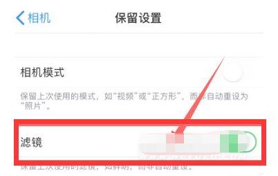 绥江苹果13维修分享iPhone13拍照有绿点是怎么回事 