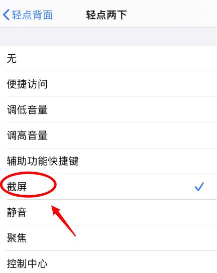 绥江苹果手机维修分享iPhone12如何启用双击截屏 