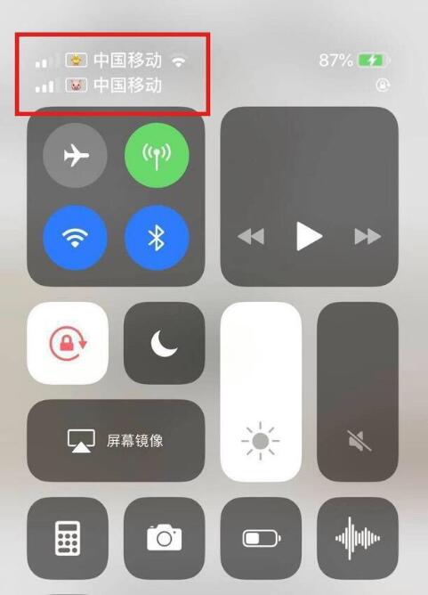 绥江苹果手机维修分享为 iPhone 12 双卡设置标签 